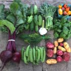 farm shop CSA example