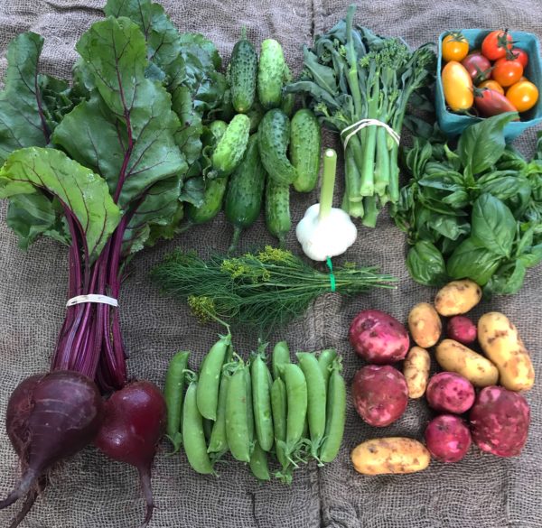 farm shop CSA example